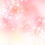 阿禎新品舖 零售群