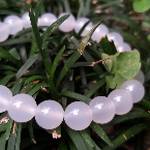 水晶愛好者 批發群